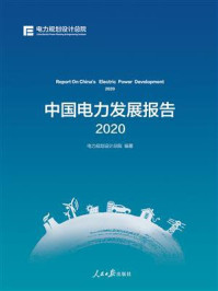 《中国电力发展报告 2020》-电力规划设计总院