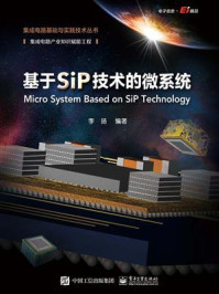 《基于SiP技术的微系统》-李扬