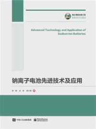 《钠离子电池先进技术及应用》-谢嫚