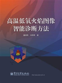 《高温低氧火焰图像智能诊断方法》-董增寿