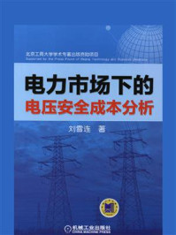 《电力市场下的电压安全成本分析》-刘雪连