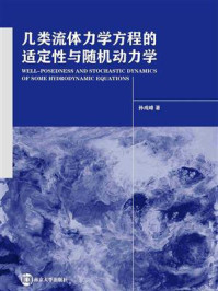 《几类流体力学方程的适定性与随机动力学》-孙成峰