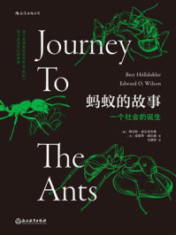 《蚂蚁的故事》-博尔特·霍尔多布勒