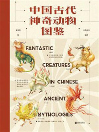 《中国古代神奇动物图鉴》-五色神石