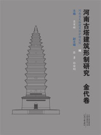 《河南古塔建筑形制研究：金代卷》-吕军辉