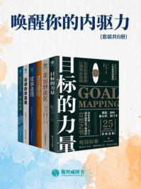 《唤醒你的内驱力（套装共6册）》-布莱恩·梅恩