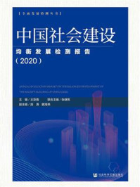 《中国社会建设均衡发展检测报告（2020）(全面发展检测丛书)》-王亚南