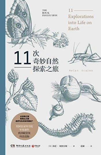 《11次奇妙自然探索之旅》/英国皇家科学院年度新作读物