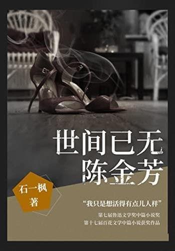 《世间已无陈金芳》石一枫/第七届鲁迅文学奖获奖作品！