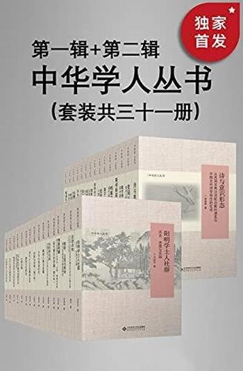 《中华学人丛书》第一辑+第二辑 装共三十一册/广度深度