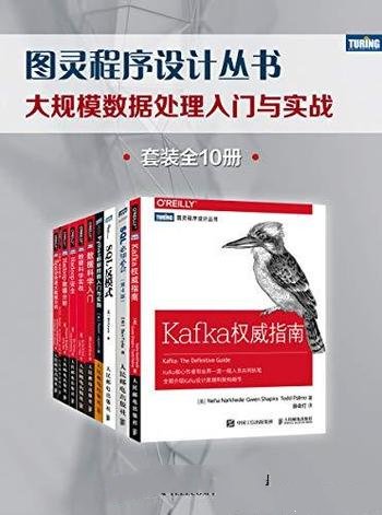 《大规模数据处理入门与实战》全10册/图灵程序设计丛书