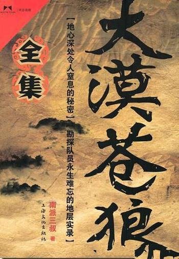 《大漠苍狼全集》南派三叔/这本书是一部边境探险的小说