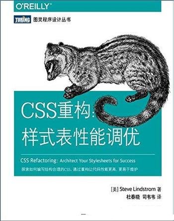 《CSS重构：样式表性能调优》林德斯特伦/网站 重构指南