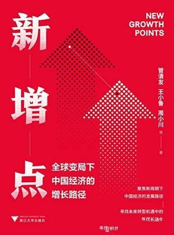 《新增点：全球变局下中国经济的增长路径》/要如何纾困