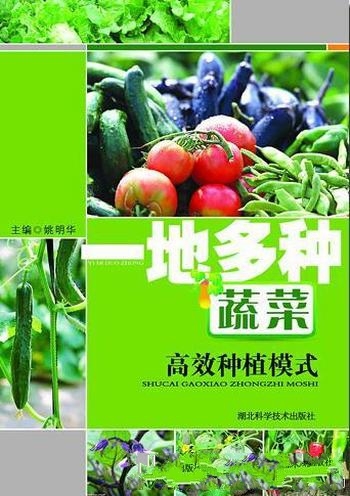 《一地多种蔬菜高效种植模式》高文胜/增强农业抗风险力