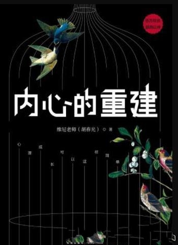 《内心的重建》维尼老师/就是深夜痛哭以后抬头迎接黎明