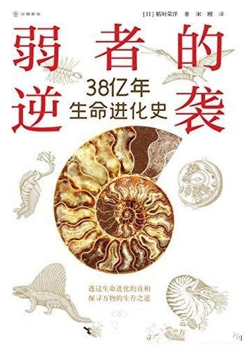 《弱者的逆袭：38亿年生命进化史》稻垣荣洋/生命进化史