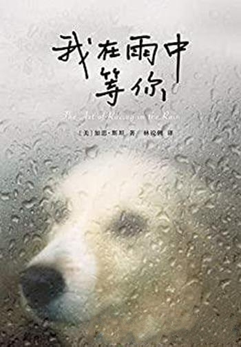 《我在雨中等你》加思·斯坦/如果你好奇你的狗在想什么