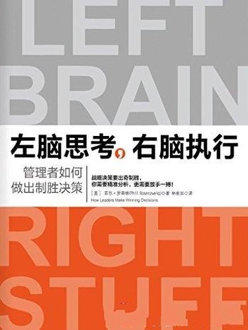 《左脑思考，右脑执行》罗森维/大数据时代成功决策启示