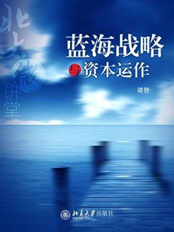 《北大微讲堂：蓝海战略与资本运作》谭智/成功小元素