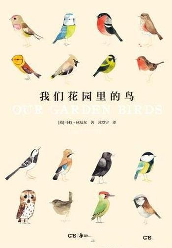 《我们花园里的鸟》马特·休厄尔/深受欢迎的鸟儿们