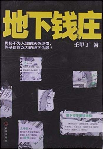 《地下钱庄》壬甲丁/展现其“蚂蚁搬家式”的经营奥秘