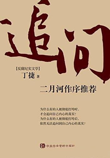 《追问 》丁捷/媲美人民的名义的现实题材反腐作品