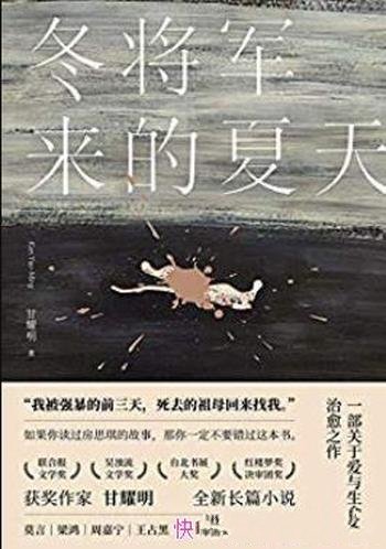 《冬将军来的夏天》甘耀明/感受爱与被爱治愈故事