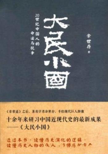 《大民小国：20世纪中国人的命运与抗争》余世存