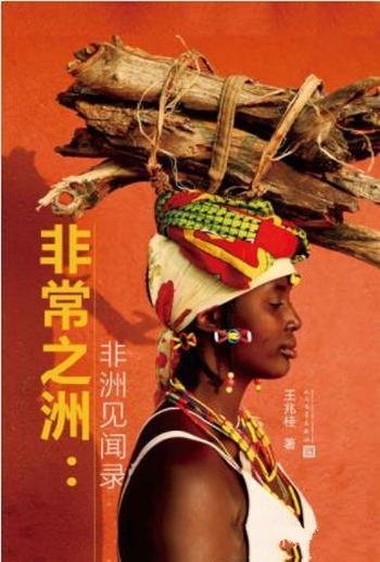 王兆桂《非常之洲:非洲见闻录》所交往的非洲人