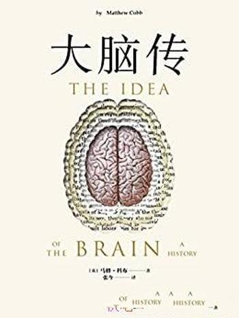 《大脑传》/罕见的中文通俗脑科学全史/科学史诗般作品