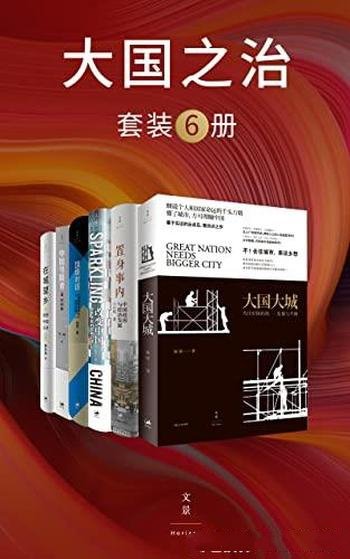 《大国之治》套装共六册/解锁了看懂中国发展的全新视角