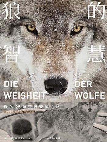 《狼的智慧》埃莉·H·拉丁格 /实地观察的野生动物世界