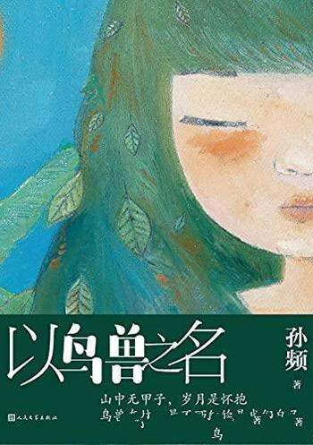 《以鸟兽之名》孙频/我知道的是我一无所知迷雾缭绕作品