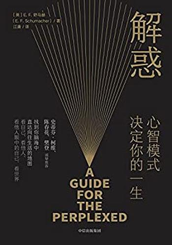 《解惑：心智模式决定你的一生》-E. F. 舒马赫