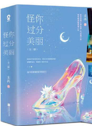 《怪你过分美丽》