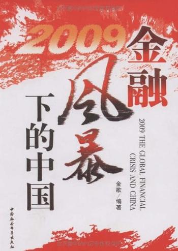 《2009金融风暴下的中国》