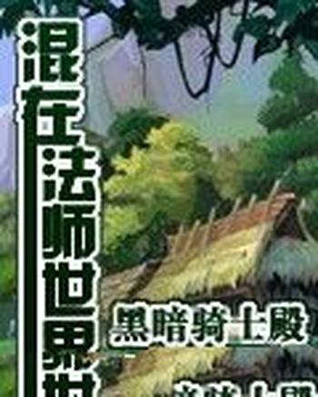 《混在法师世界》（校对版全本）作者：黑暗骑士殿