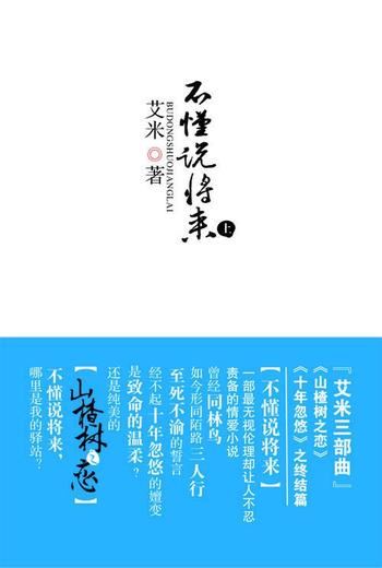 《不懂说将来 上 下》