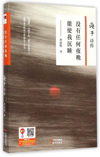 《没有任何夜晚能使我沉睡：海子诗传》