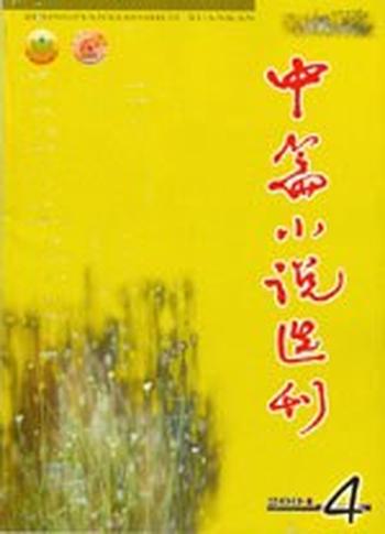 《中篇小说选刊》2010年第3期1