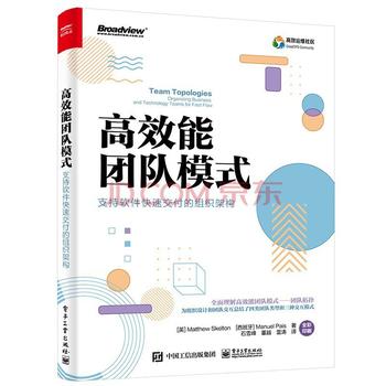 《高效能团队模式：支持软件快速交付的组织架构》