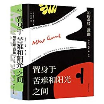 《置身于苦难和阳光之间(3册套装)》