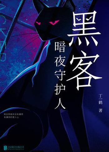 《黑客：暗夜守护人》