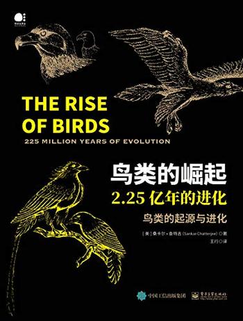 《鸟类的崛起》-桑卡尔・查特吉