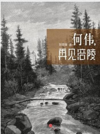 《何伟，再见涪陵（中国故事）》