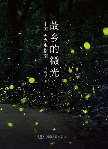 《故乡的微光 : 中国萤火虫指南》