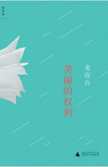 《美丽的权利 : 《野火集》之外，龙应台的“三把火”》