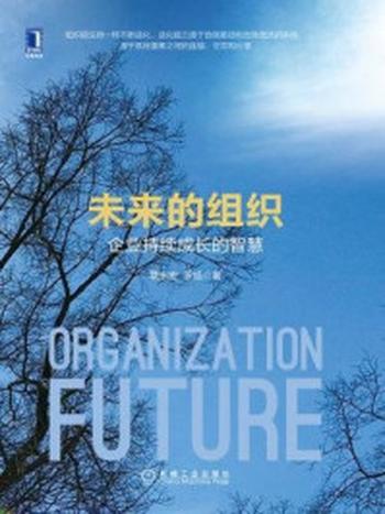 《未来的组织：企业持续成长的智慧》-章永宏