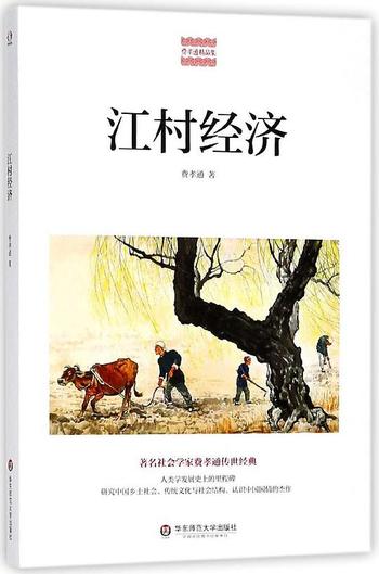 《江村经济/费孝通精品集》